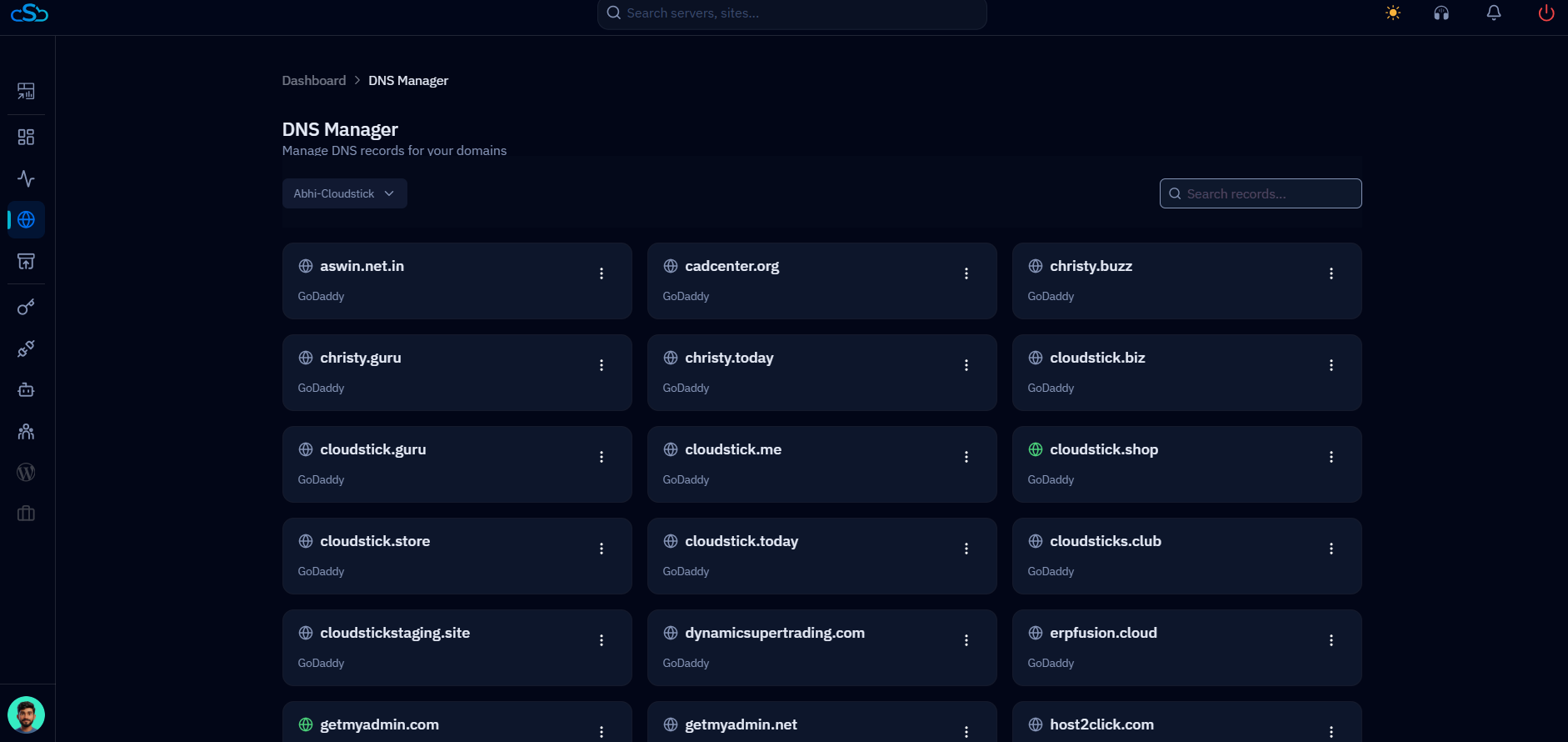 Fig. 12 — DNS Manager listing all domains fetched from the connected GoDaddy account.